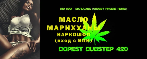 гашик Надым