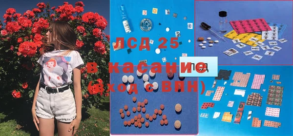 ГАЛЛЮЦИНОГЕННЫЕ ГРИБЫ Богородск