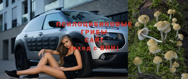 спайс Пролетарск