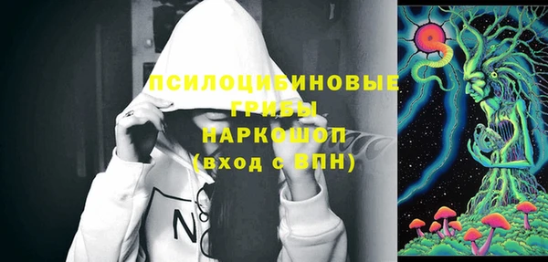спайс Пролетарск