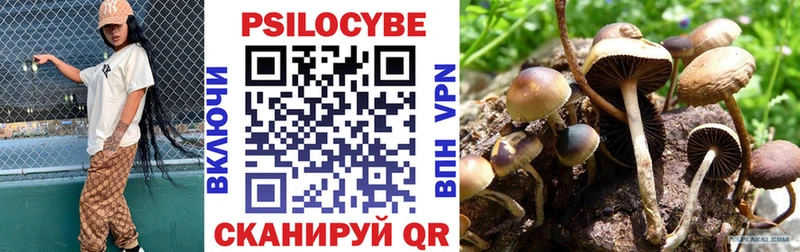 Псилоцибиновые грибы GOLDEN TEACHER  магазин  наркотиков  Свирск 